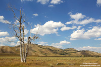 USA - Wyoming, Grand Teton NP (20/08/2013)