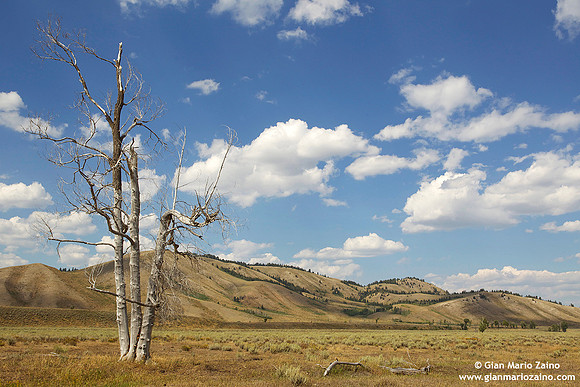 USA - Wyoming, Grand Teton NP (20/08/2013)