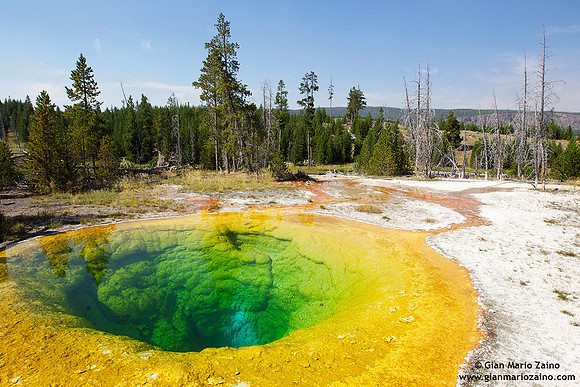 USA - Wyoming, Yellowstone NP (17/08/2013)