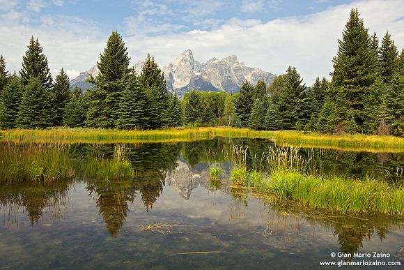 USA - Wyoming, Grand Teton NP (20/08/2013)