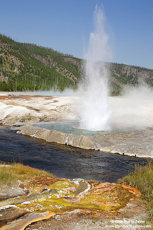 USA - Wyoming, Yellowstone NP (19/08/2013)