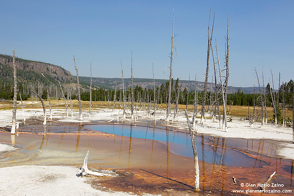 USA - Wyoming, Yellowstone NP (19/08/2013)