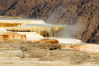 USA - Wyoming, Yellowstone NP ( 15/08/2013)