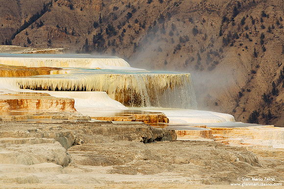 USA - Wyoming, Yellowstone NP ( 15/08/2013)