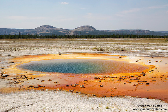 USA - Wyoming, Yellowstone NP (17/08/2013)