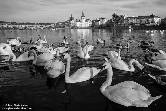 Czech Republic - Praha (26/12/2013)