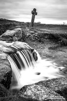 England - Dartmoor National Park (14/08/18)