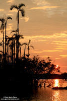 Reserva Cujabeno (2007)