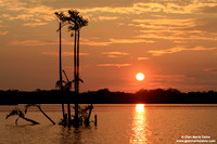 Reserva Cujabeno (2007)