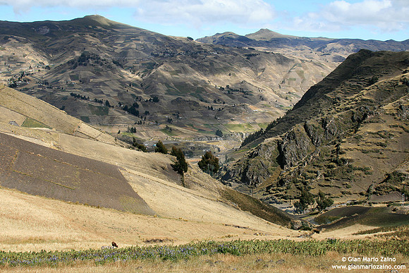 Zumbahua (2007)