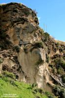 Ingapirca (2007)