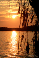 Reserva Cujabeno (2007)