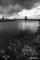 Nederlands - Kinderdijk (26/04/18)