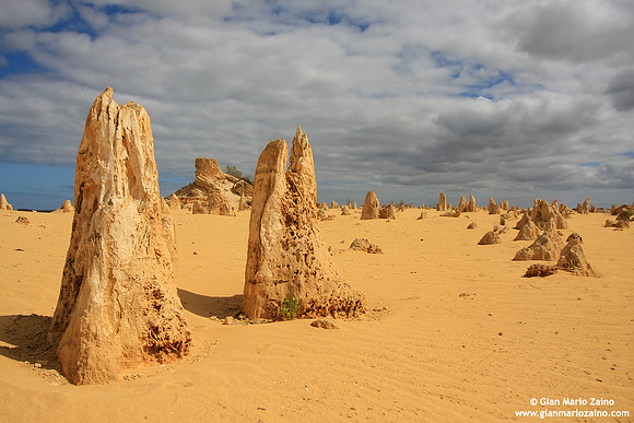 Australia - Pinnacles desert (2008)