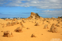 Australia - Pinnacles desert (2008)