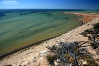 Australia - Shark bay (2008)