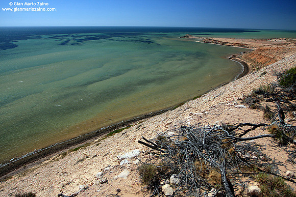 Australia - Shark bay (2008)