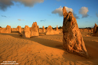 Australia - Pinnacles desert (2008)