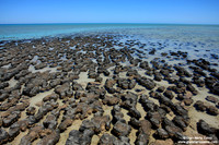Australia - Hamelin Pool (2008)