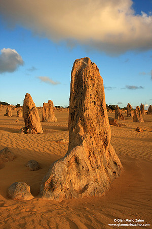 Australia - Pinnacles desert (2008)