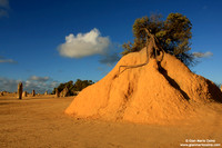 Australia - Pinnacles desert (2008)