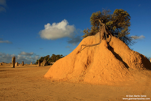 Australia - Pinnacles desert (2008)