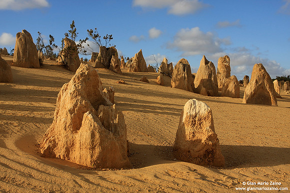 Australia - Pinnacles desert (2008)