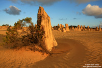 Australia - Pinnacles desert (2008)