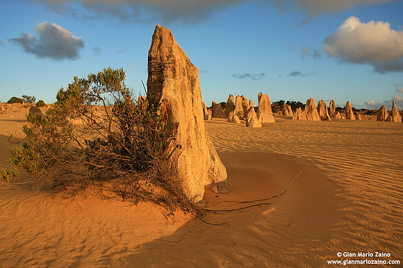 Australia - Pinnacles desert (2008)