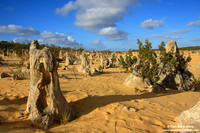 Australia - Pinnacles desert (2008)