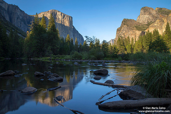 USA - California - Yosemite NP (08/08/2015)