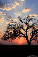 Namibia - Namib Desert (2009)