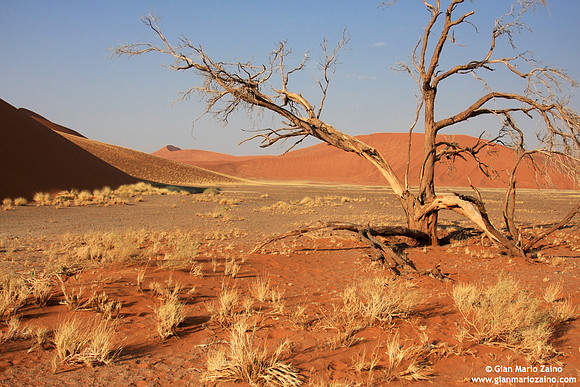 Namibia - Namib Desert (2009)