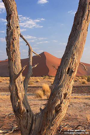 Namibia - Namib Desert (2009)