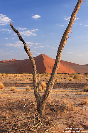 Namibia - Namib Desert (2009)