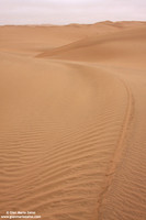 Namibia - Namib Desert (2009)