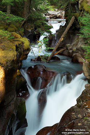 USA - Montana, Glacier National Park - (12/08/2013)