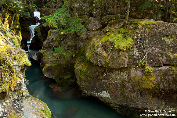USA - Montana, Glacier National Park - (12/08/2013)