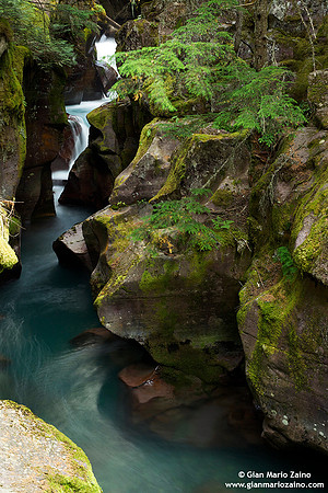 USA - Montana, Glacier National Park - (12/08/2013)