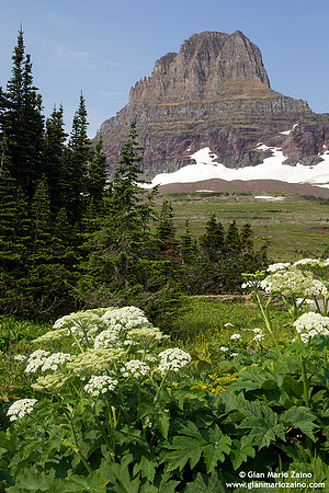 USA - Montana, Glacier National Park - (10/08/2013)