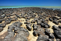 Australia - Hamelin Pool (2008)