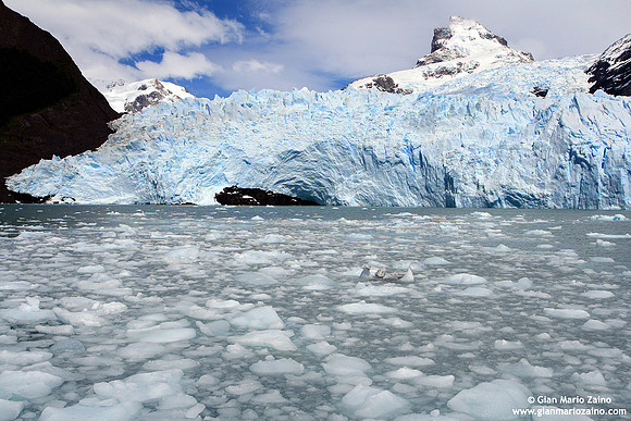 Glaciar Spegazzini (2007)