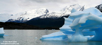 Lago Argentino (2007)
