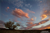 USA - California, Death Valley National Park (03/09/2012)