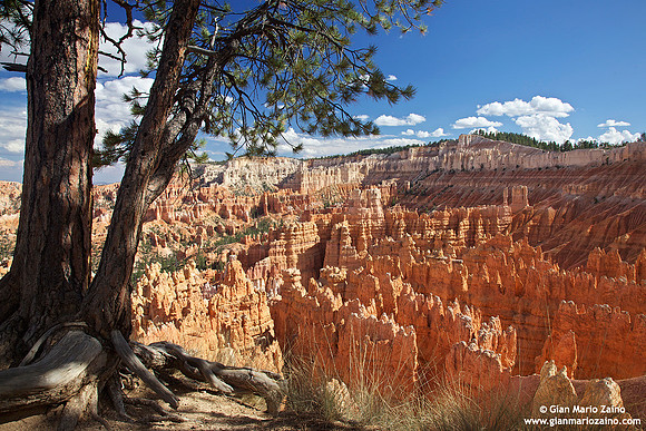 USA - Utah, Bryce Canyon National Park (27/08/2012)