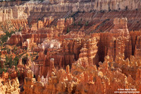 USA - Utah, Bryce Canyon National Park (27/08/2012)