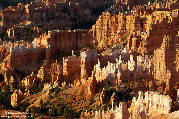 USA - Utah, Bryce Canyon National Park (30/08/2012)