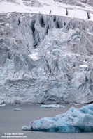 Norway, Svalbard Islands - Samarinvågen Fjord (2010)