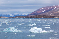 Norway, Svalbard Islands - Liefdefjorden (2010)