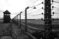 Poland - Oświęcim (Auschwitz) (25/12/2013)